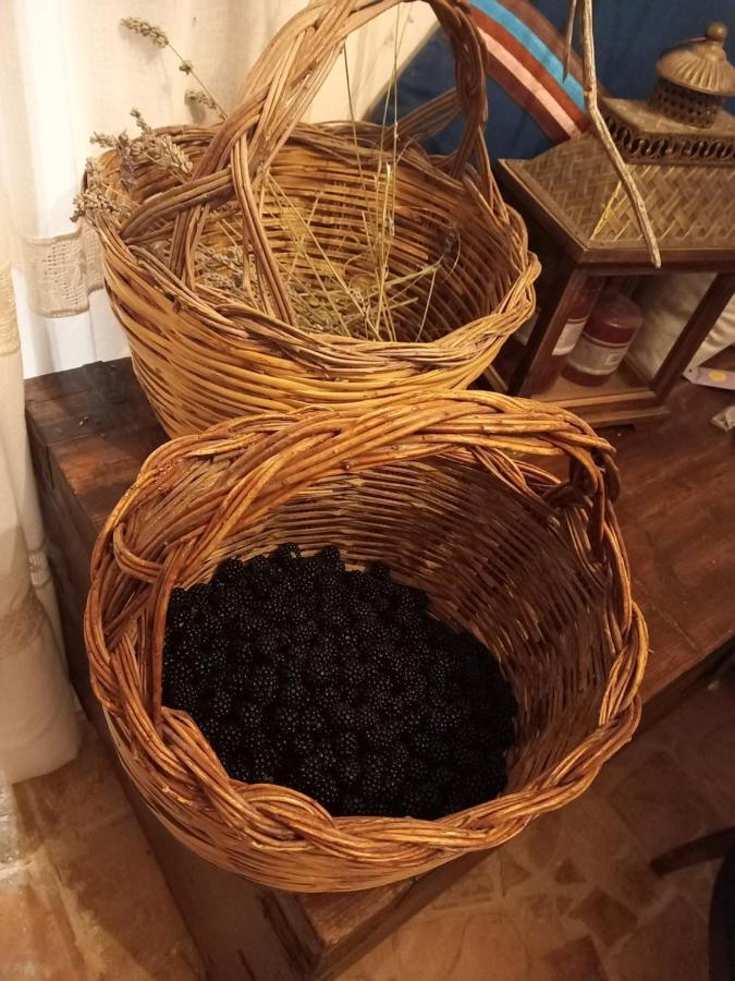 Abbateggio La Casa Dalle Finestre Blu المظهر الخارجي الصورة