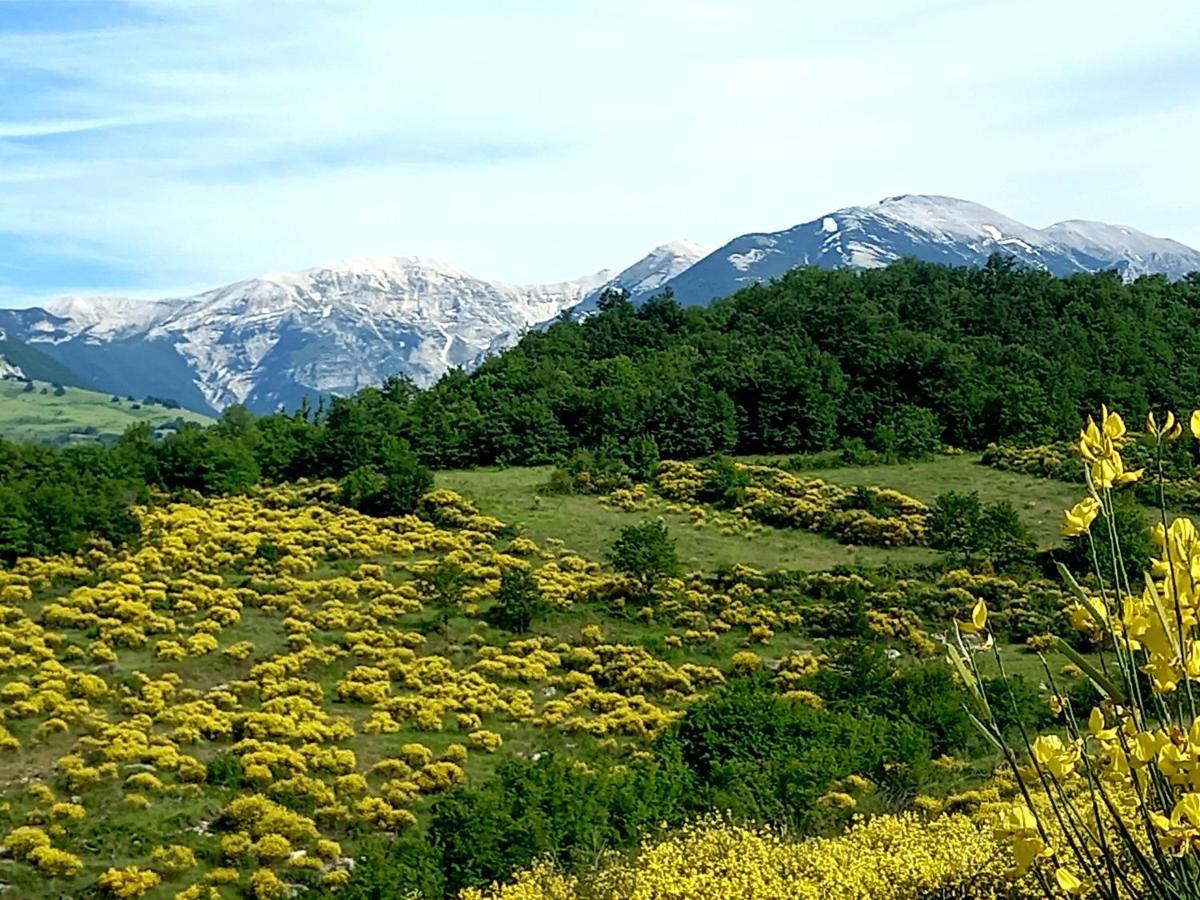 Abbateggio La Casa Dalle Finestre Blu المظهر الخارجي الصورة